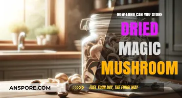 Storing Dried Magic Mushrooms: Shelf Life and Preservation Tips
