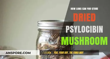 Storing Dried Psilocybin Mushrooms: Optimal Shelf Life and Preservation Tips