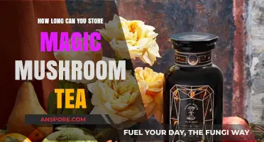 Magic Mushroom Tea Storage: Maximizing Shelf Life and Potency