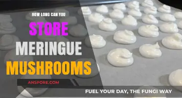 Meringue Mushrooms Storage Guide: Maximizing Shelf Life and Freshness