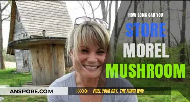 Storing Morel Mushrooms: Best Practices for Longevity and Freshness