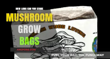 Maximizing Mushroom Grow Bag Storage: Tips for Longevity and Freshness