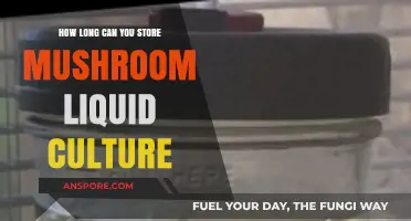 Storing Mushroom Liquid Culture: Optimal Shelf Life and Preservation Tips