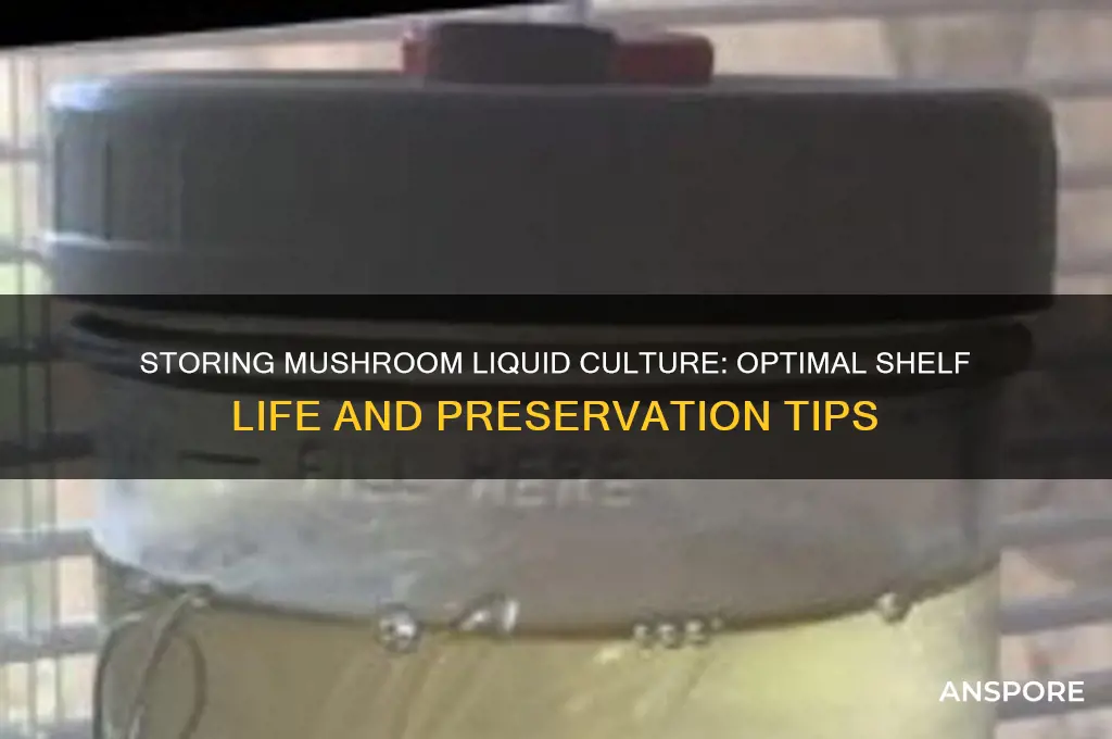 how long can you store mushroom liquid culture