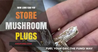 Maximizing Mushroom Plug Storage: Tips for Longevity and Success