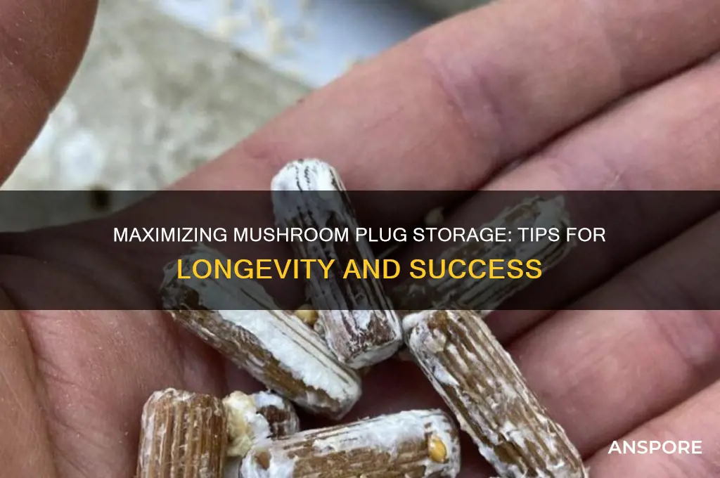 how long can you store mushroom plugs