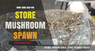Maximizing Mushroom Spawn Storage: Tips for Longevity and Viability