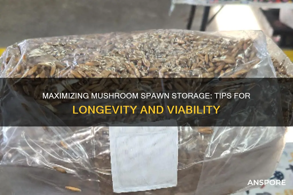 how long can you store mushroom spawn