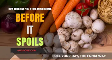 Maximizing Mushroom Freshness: Optimal Storage Tips to Prevent Spoilage