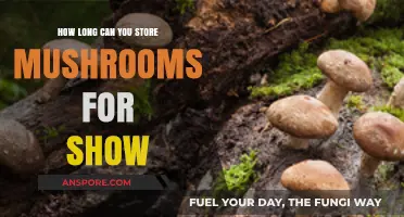 Maximizing Mushroom Freshness: Optimal Storage Tips for Extended Display