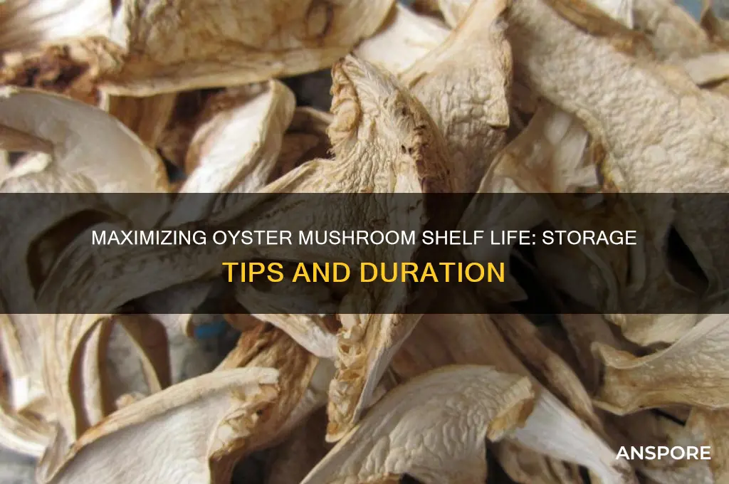 how long can you store oyster mushrooms