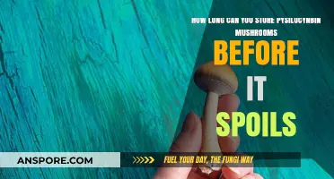 Storing Psilocybin Mushrooms: Shelf Life and Preservation Tips