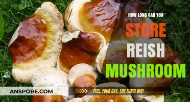 Maximizing Shelf Life: Optimal Storage Tips for Reishi Mushrooms