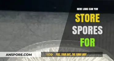 Maximizing Longevity: Optimal Storage Tips for Spores' Shelf Life