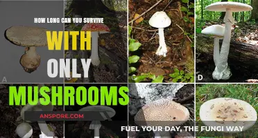 Surviving on Mushrooms: How Long Can You Sustain Life?