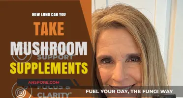 Optimal Duration for Mushroom Supplements: A Comprehensive Guide