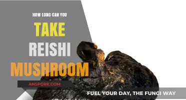 Reishi Mushroom Longevity: Safe Duration for Daily Consumption Explained