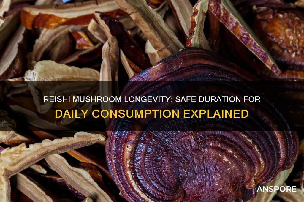 how long can you take reishi mushroom