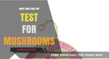 Detecting Mushrooms: Understanding the Testing Window for Accurate Results