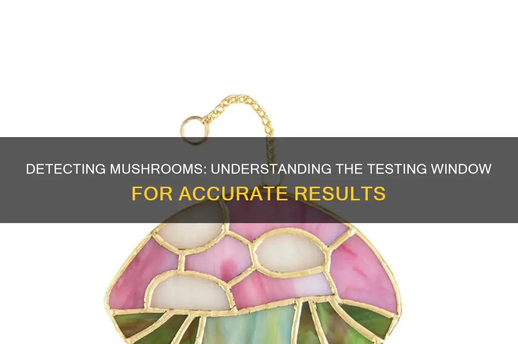 how long can you test for mushrooms