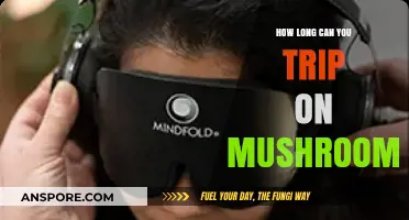 Exploring the Duration of a Mushroom Trip: What to Expect