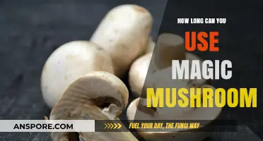 Magic Mushrooms Shelf Life: How Long Can You Use Them?