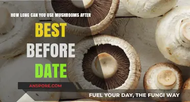 Mushrooms Past Best Before: Safe Usage and Storage Tips