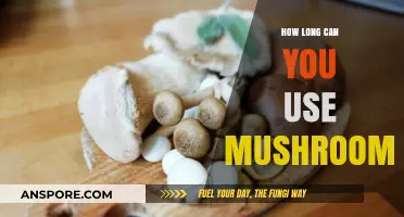 Maximizing Mushroom Freshness: Optimal Storage and Usage Lifespan Guide