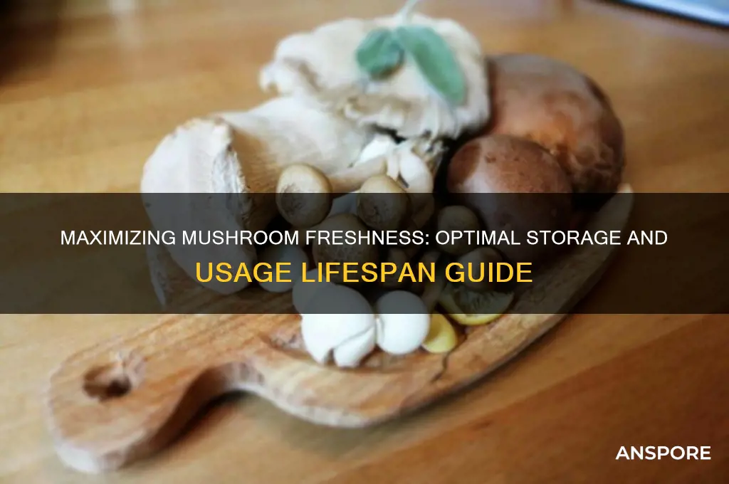 how long can you use mushrooms