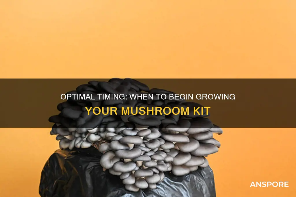 how long can you wait before starting mushroom kit