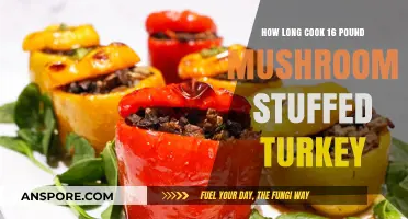 Perfectly Cooked 16-Pound Mushroom Stuffed Turkey: Timing Tips & Tricks