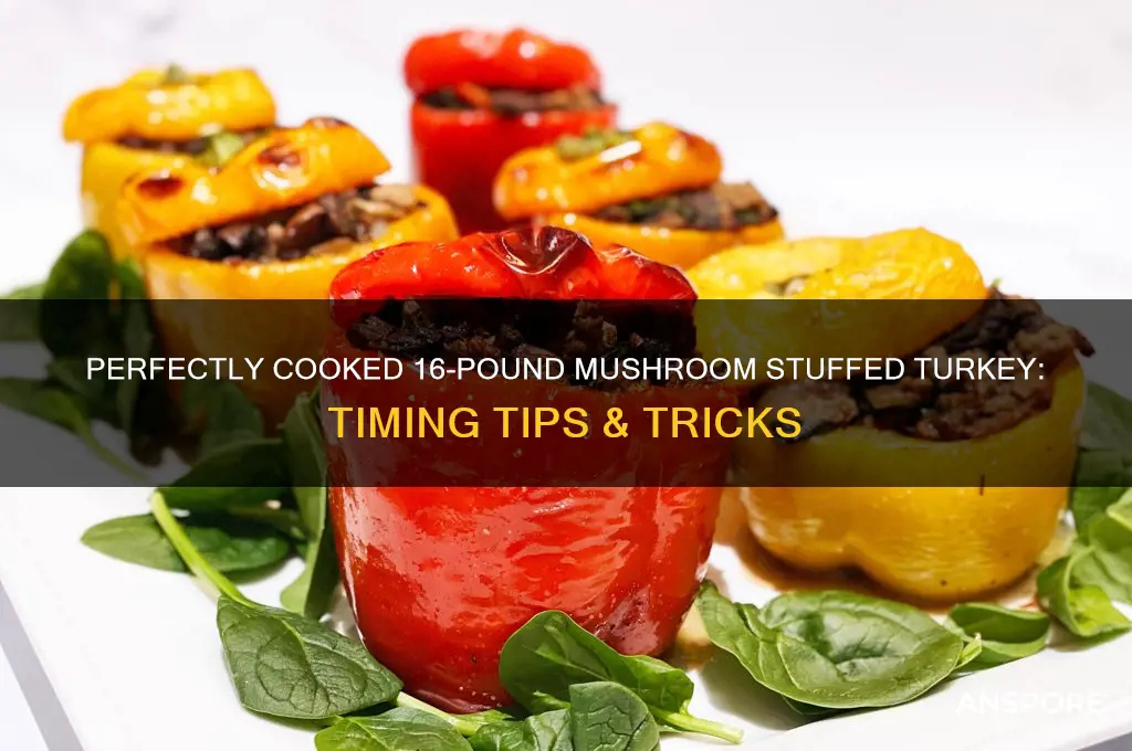 how long cook 16 pound mushroom stuffed turkey
