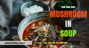 Perfectly Cooked Mushrooms in Soup: Timing Tips for Rich Flavor