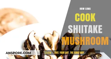 Perfect Shiitake Mushrooms: Optimal Cooking Time and Techniques Revealed