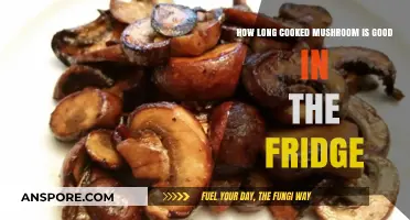 Cooked Mushrooms in the Fridge: How Long Do They Last?