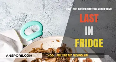 Sauteed Mushrooms Storage Guide: Fridge Lifespan and Freshness Tips