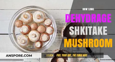 Dehydrating Shiitake Mushrooms: Optimal Time for Perfect Preservation