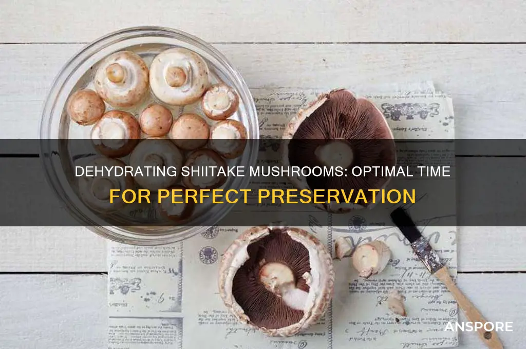 how long dehydrage shkitake mushroom