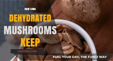 Shelf Life of Dehydrated Mushrooms: How Long Do They Last?