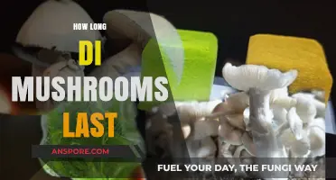 Shelf Life of Mushrooms: How Long Do They Stay Fresh?