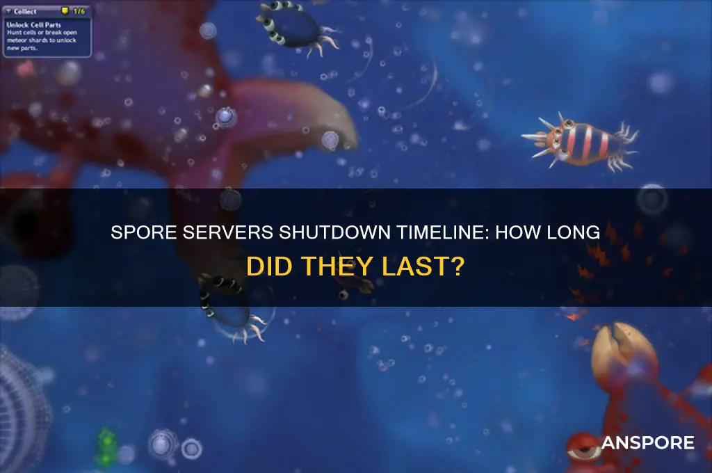 how long did it take for spore servers