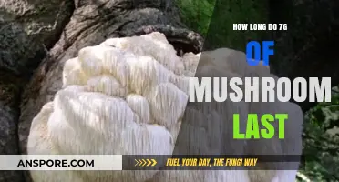 How Long Do 7g of Mushrooms Last: A Comprehensive Guide