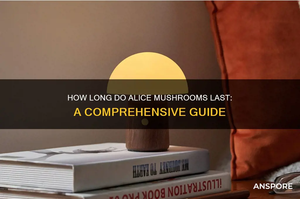 how long do alice mushrooms last