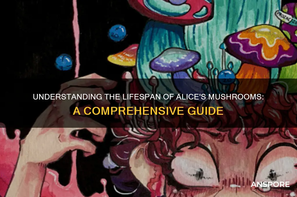 how long do aliced mushroom least