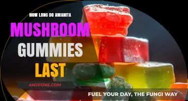 Amanita Mushroom Gummies Shelf Life: Duration and Storage Tips