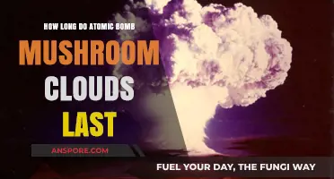 Atomic Bomb Mushroom Clouds: Duration and Dispersal Explained