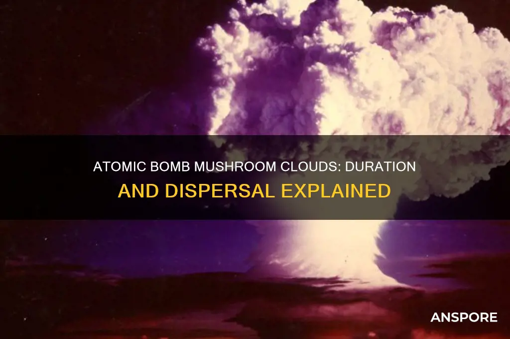 how long do atomic bomb mushroom clouds last