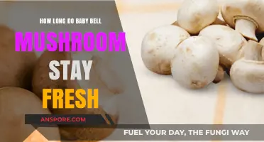Baby Bella Mushrooms: Freshness Duration and Storage Tips