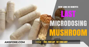 Microdosing Mushrooms: Duration of Benefits and Long-Term Effects Explained