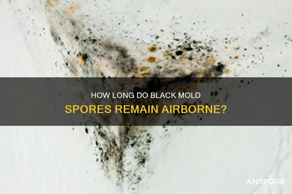 how long do black mold spores stay in the air
